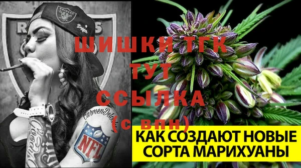 соль ск Сафоново
