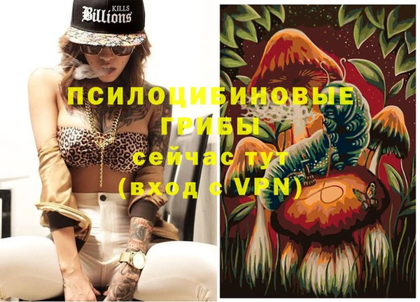 ешки Сатка