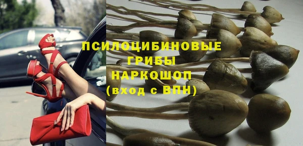 ешки Сатка