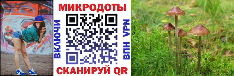 Купить закладки  Севск  Галлюциногенные грибы ЛСД 